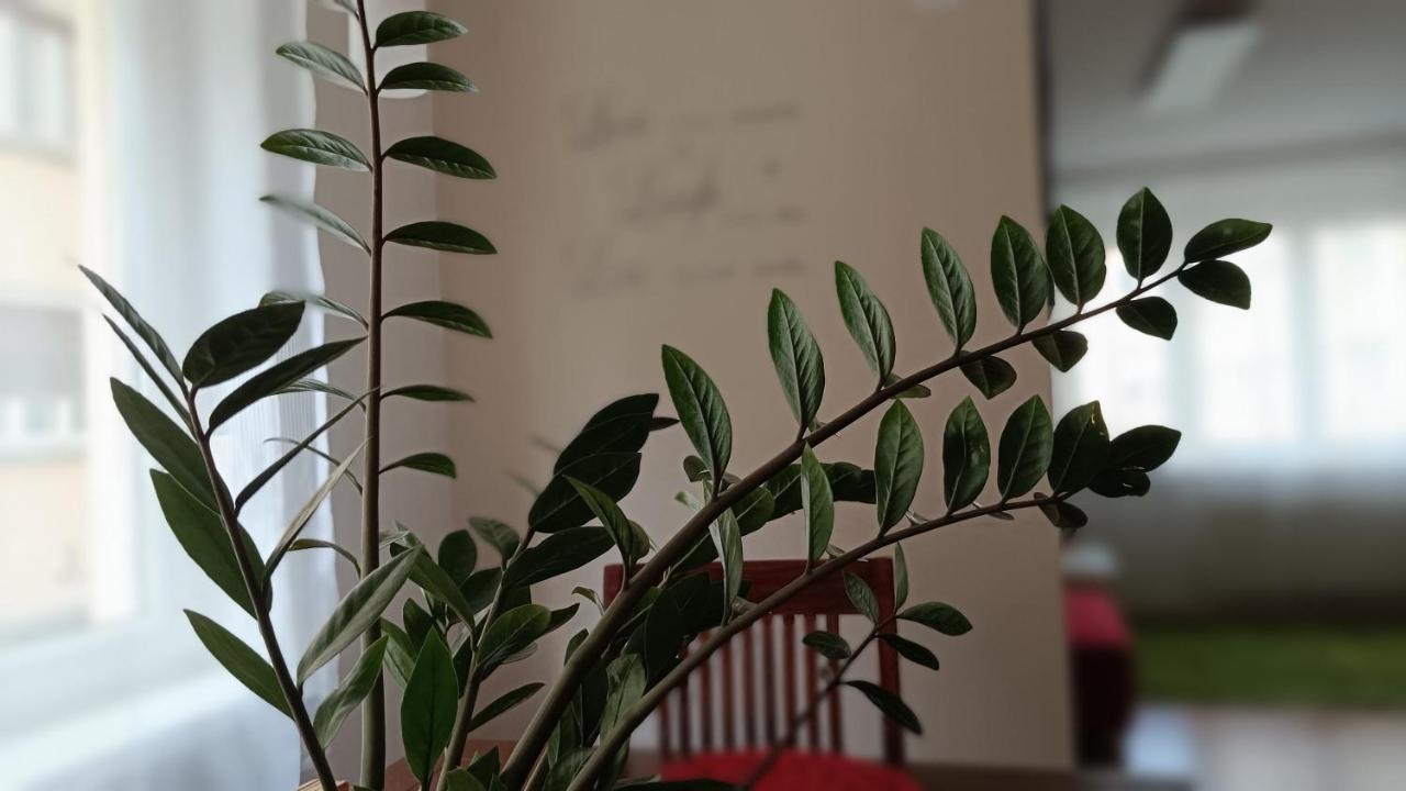 Moderne Und Schoene Wohnung Γκρατς Εξωτερικό φωτογραφία